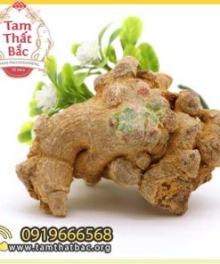 Trang chủ củ tam thất loại 30 củ 500x500