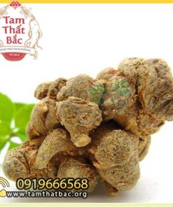 Trang chủ củ tam thất loại 50 củ 500x500