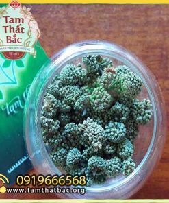 Trang chủ nụ tam thất bao tử 500x500