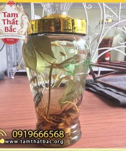 Trang chủ rượu ngâm củ tam thất 500x500