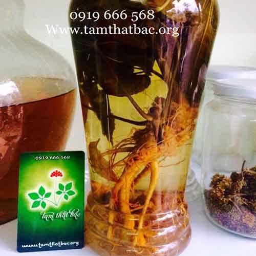 Trang chủ Rượu ngâm tam thất